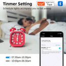 Tuya Bluetooth LED Bulb Lamps Dimmable 15W 18W E27 B22 220V RGBCW Color Change Smart Life APP Group Control Music Rhythm Timing